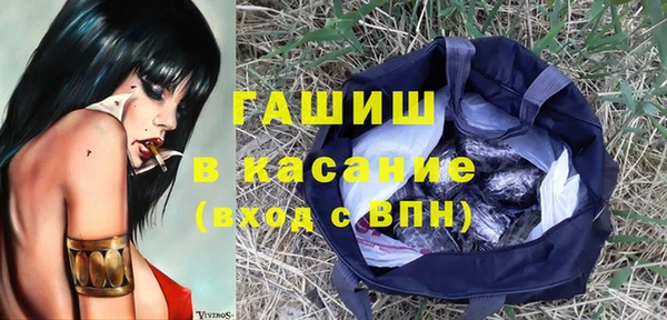 индика Магас