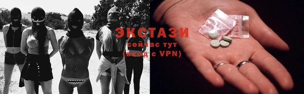 индика Магас