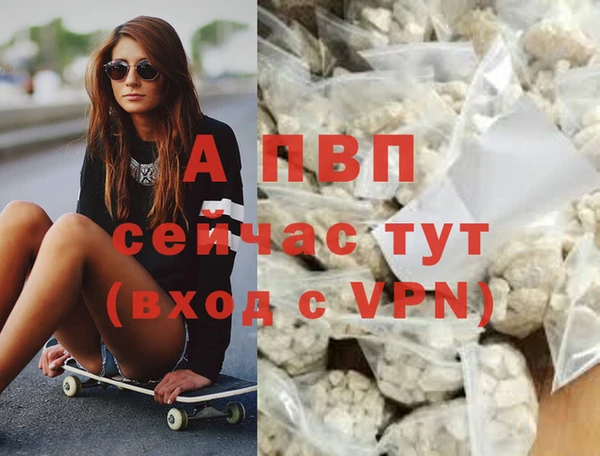 индика Магас