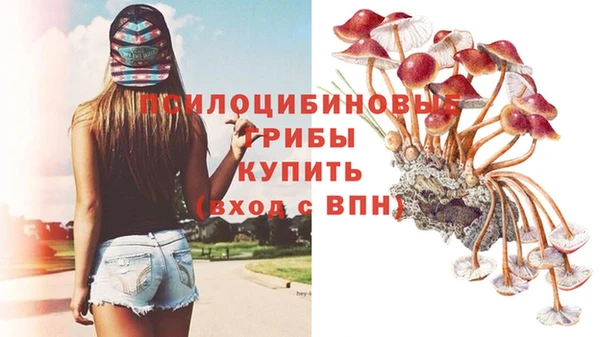 индика Магас