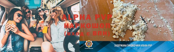 индика Магас