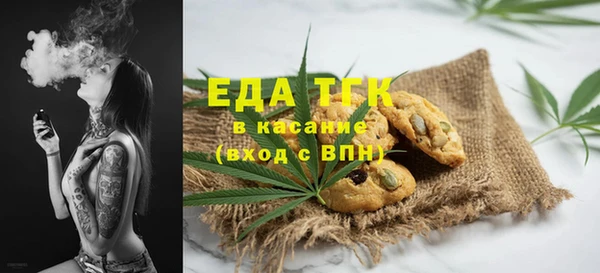 индика Магас