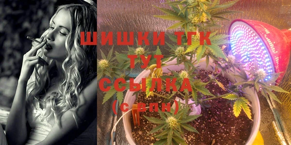 индика Магас