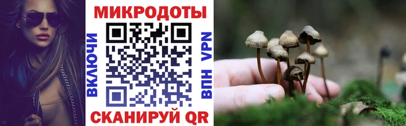 сайты даркнета телеграм  Нестеровская  Галлюциногенные грибы Psilocybe 