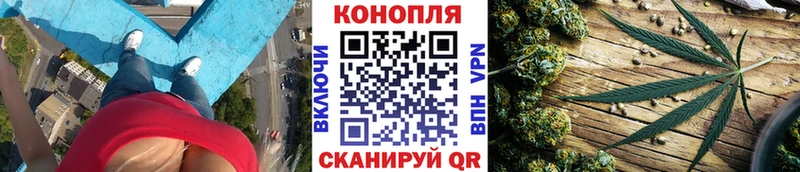 Канабис тримм Нестеровская