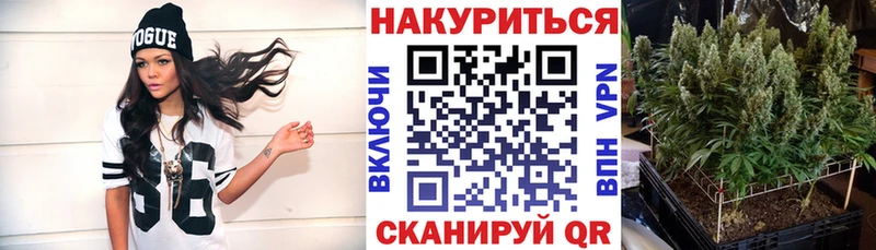 Бошки марихуана VHQ  купить   omg ССЫЛКА  Нестеровская 